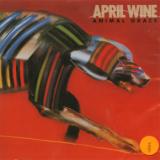 April Wine Animal Grace