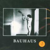 Bauhaus In The Flat Field
