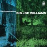 Williams Big Joe Piney Woods Blues