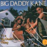 Big Daddy Kane It's A Big Daddy Thing
