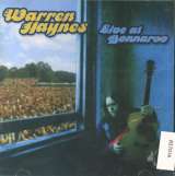 Haynes Warren Live At Bonnaroo