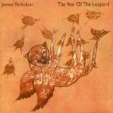 Yorkston James Year Of The Leopard