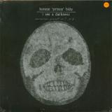Bonnie Prince Billy I See A Darkness